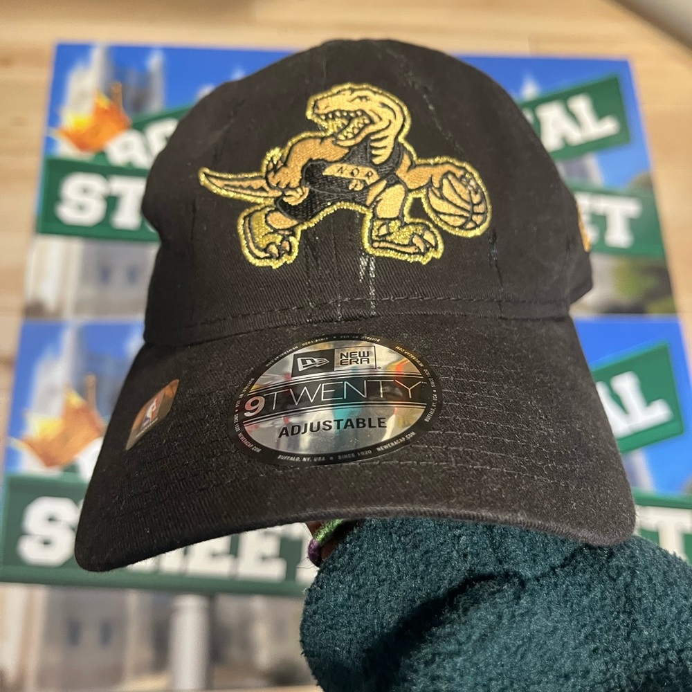 Toronto raptors new era cap